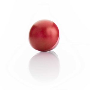 Pushbutton - 76-9450/4044R
